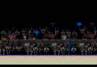 WWF WrestleMania: The Arcade Game screenshot 4 for Sega Mega Drive